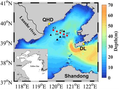 Summertime Oxygen Depletion and Acidification in Bohai Sea, China